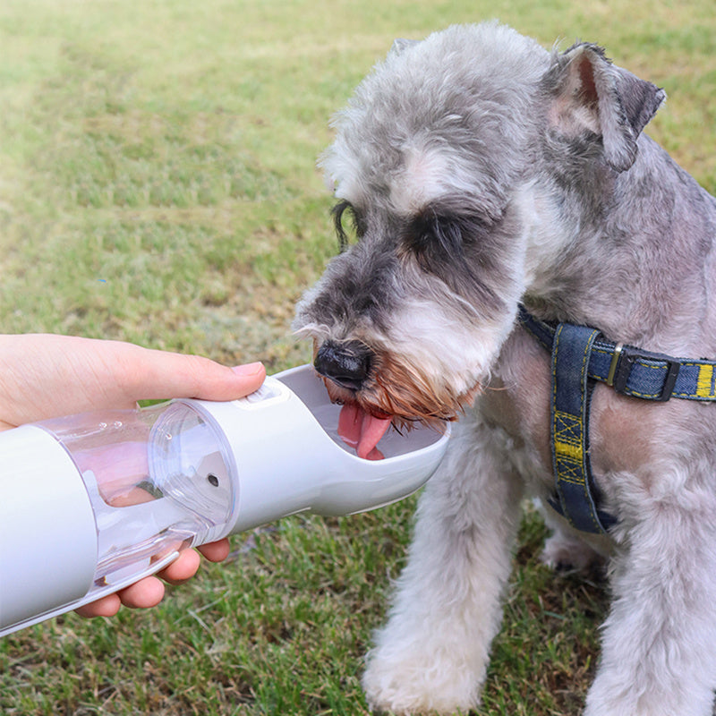 Ultimate Pet Travel Mug: Water, Bags, and Style Combined!